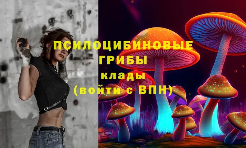 Псилоцибиновые грибы Psilocybe  закладки  kraken   Елабуга 